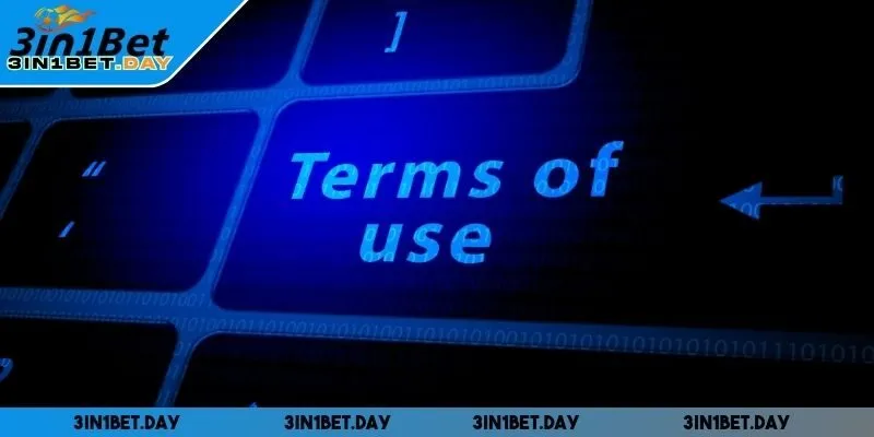 Điều khoản sử dụng quy định trách nhiệm của từng thành viên tham gia