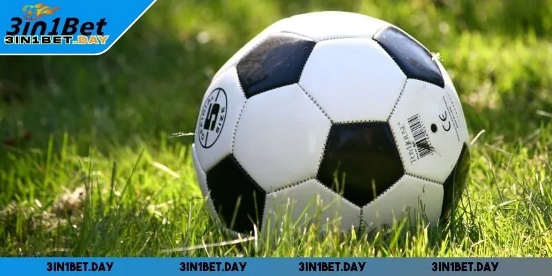 Nên thiết lập kế hoạch quản lý vốn chi tiết để đảm bảo lợi nhuận thu về