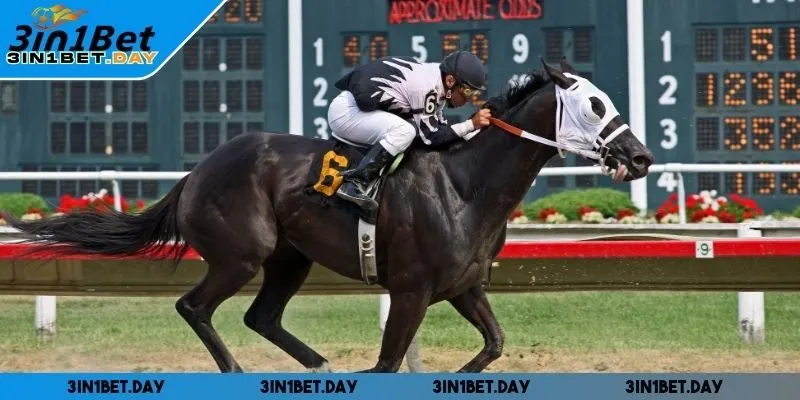 Ưu đãi hấp dẫn cho hội viên mới, hoàn trả thể thao mỗi tuần